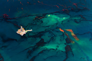 Illustration for article titled Strikingly beautiful pictures show the horrors of the BP oil spill